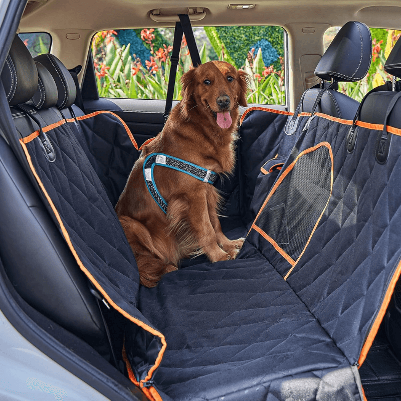 SillyPup™ ComfyCruiser