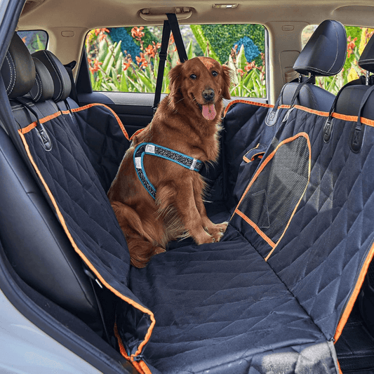 SillyPup™ ComfyCruiser
